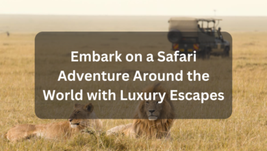 Embark on a Safari Adventure Around the World with Luxury Escapes