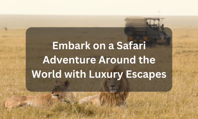 Embark on a Safari Adventure Around the World with Luxury Escapes