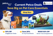 Petco’s Current Deals Make Everyday Pet Care Easier on the Wallet Petco’s Current Deals Make Everyday Pet Care Easier on the Wallet